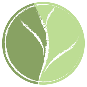 Inner Source Therapy