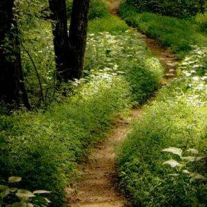 Finding the right therapist