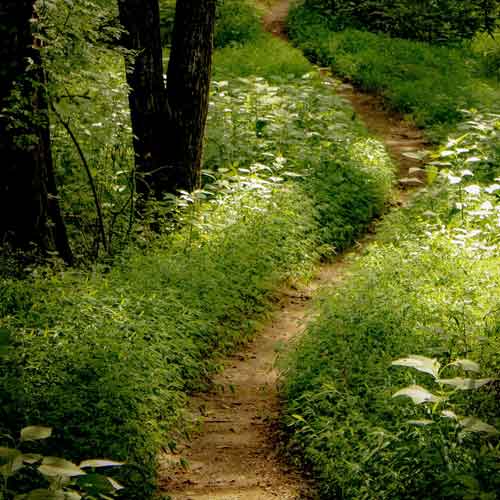 Finding the right therapist